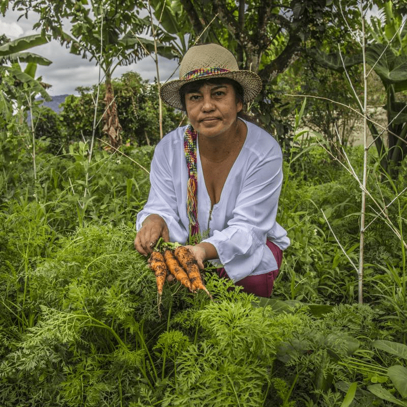 María Belma Echavarría